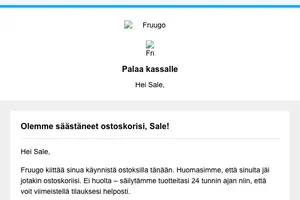 Olemme säästäneet ostoskorisi, Sale!