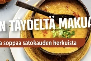 Syysjuurekset ovat täällä. Työnnä nyt lusikkasi soppaan.