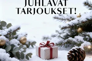 Enää yksi päivä odotettavaa… ⏰ huomenna on joulu 🎁