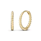 Vittoria rengaskorvakorut, keltakultaa