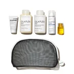 THE HEALTHY HAIR TRAVEL SET