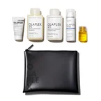 THE HEALTHY HAIR TRAVEL SET